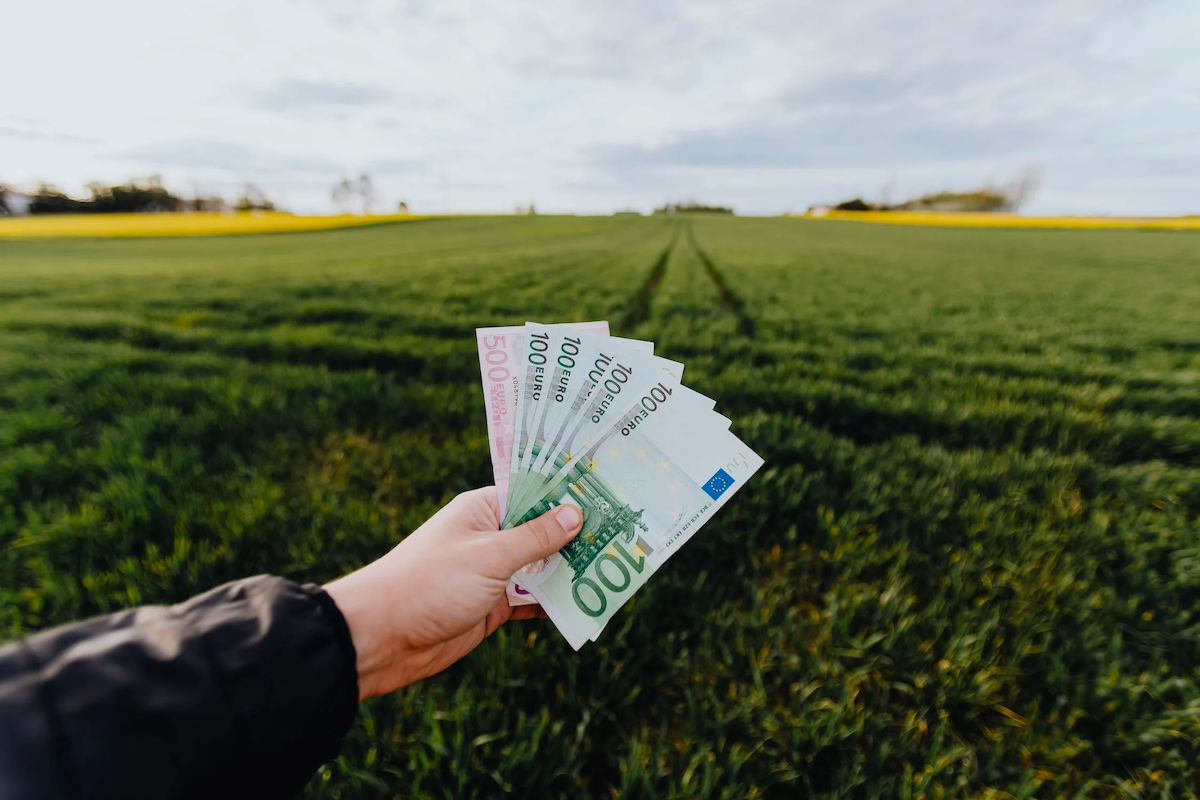 A hand holds Euro bank notes, standing in a field