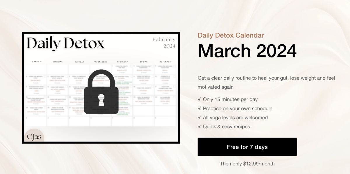 Screenshot of a Daily Detox calendar plan for sale