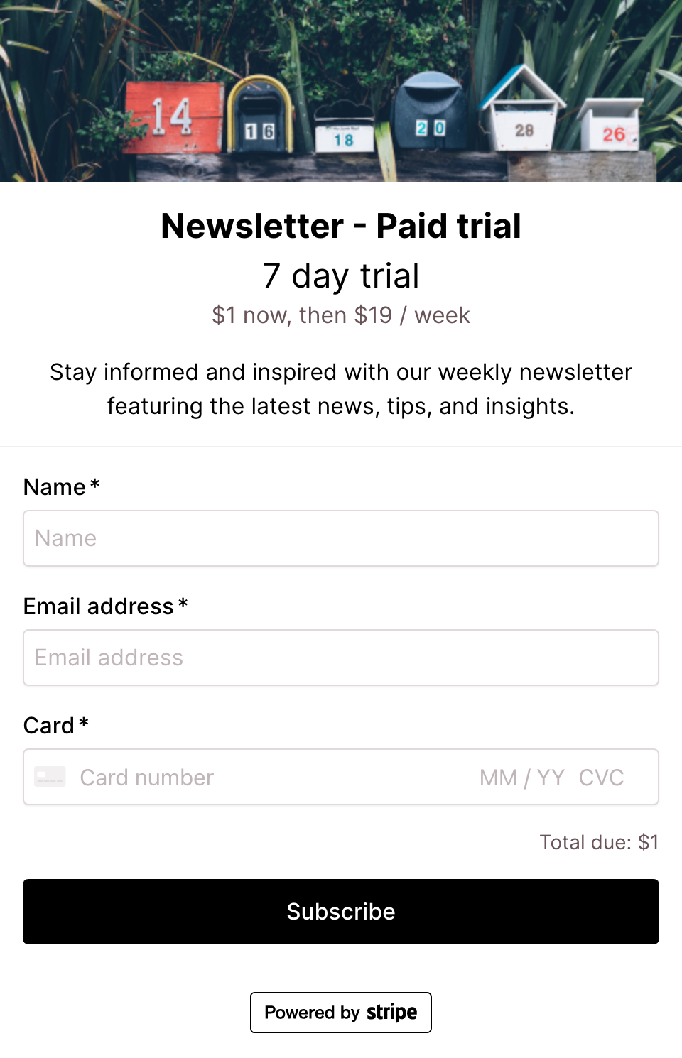 Newsletter paid trial checkout form