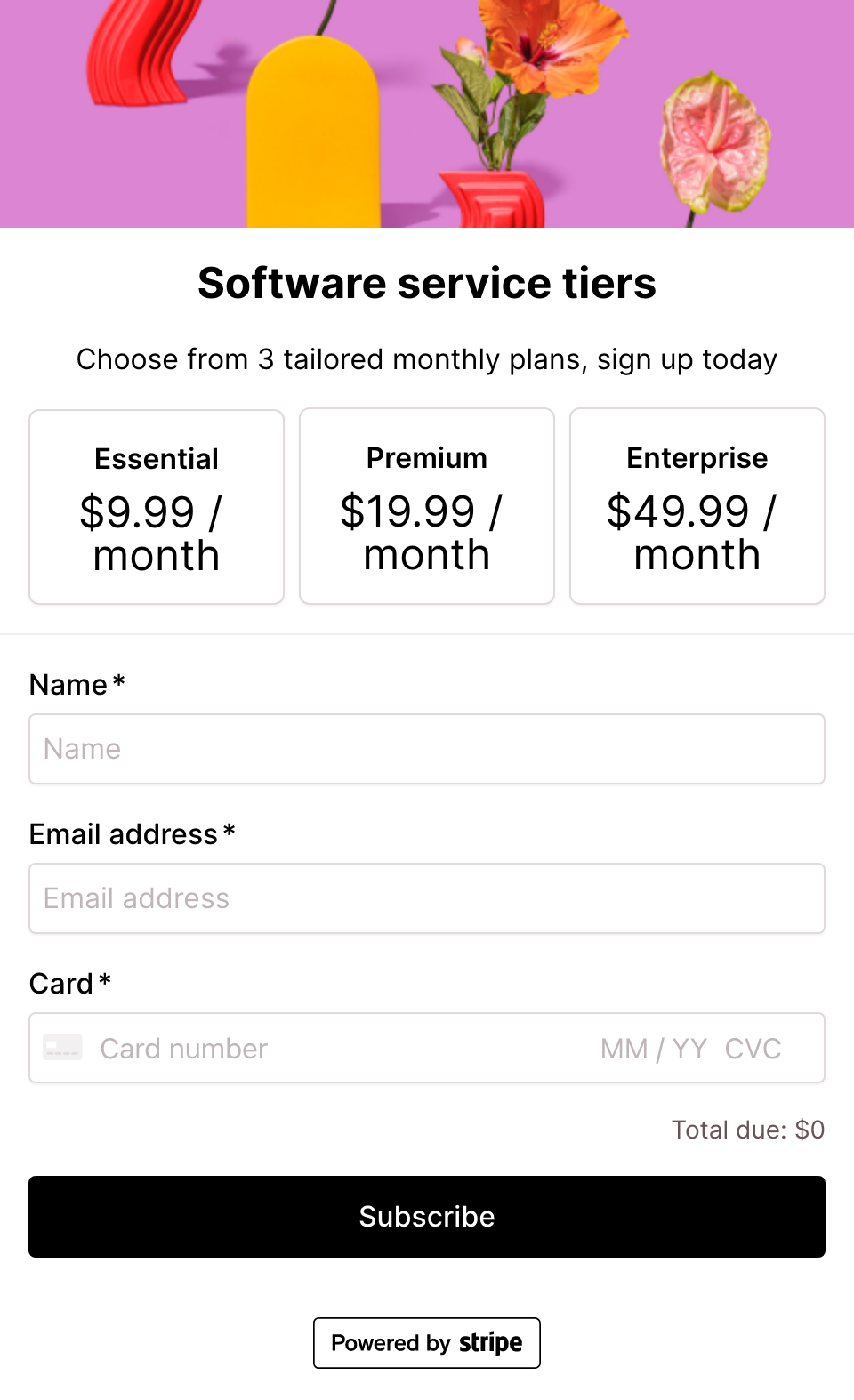 Software service - tiered pricing model - Stripe subscription