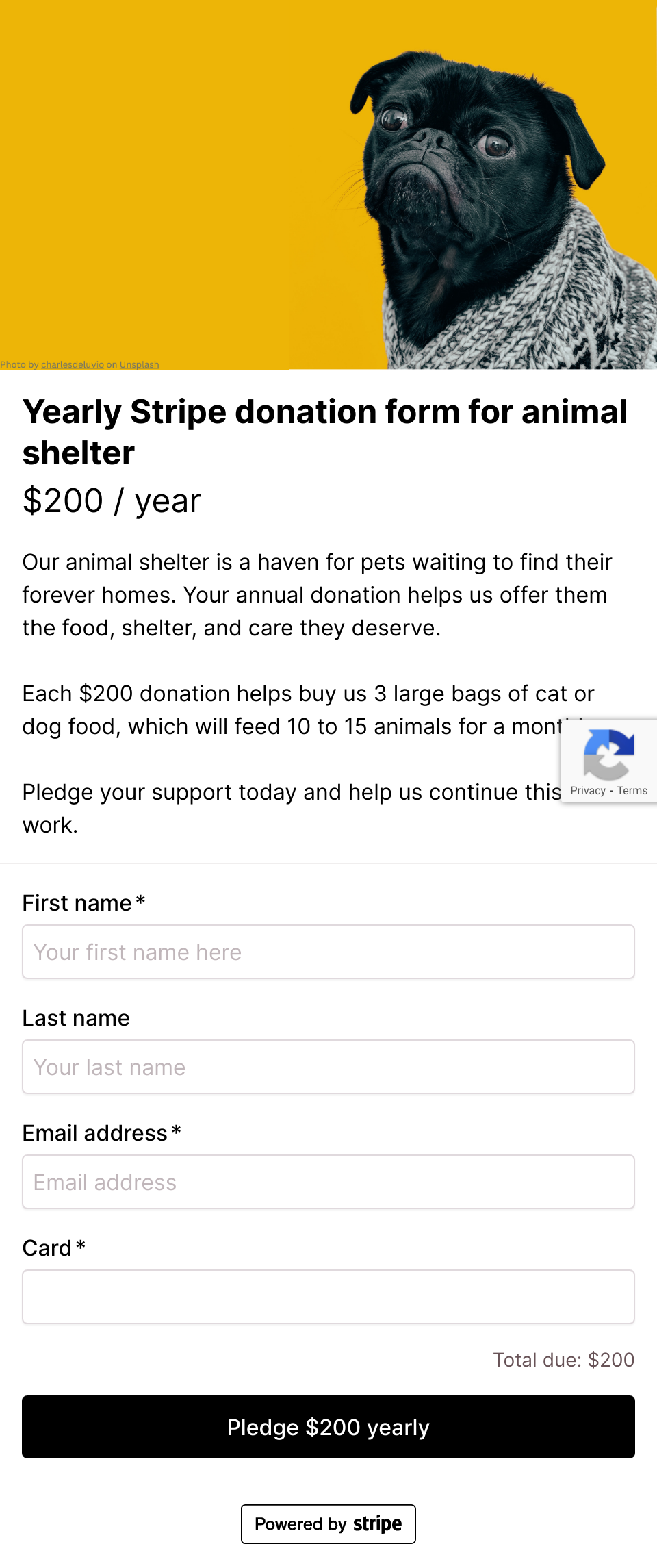 Yearly Stripe donation form template