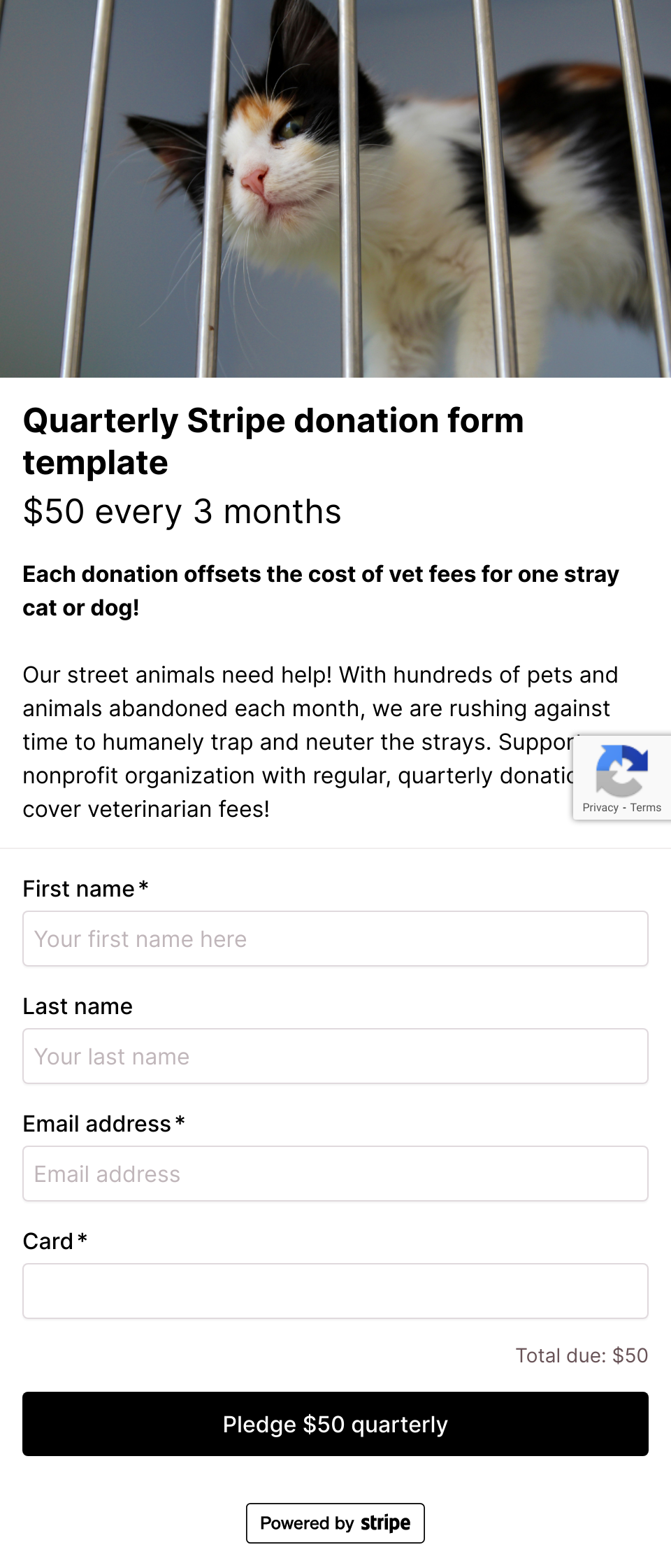 Quarterly Stripe donation form template